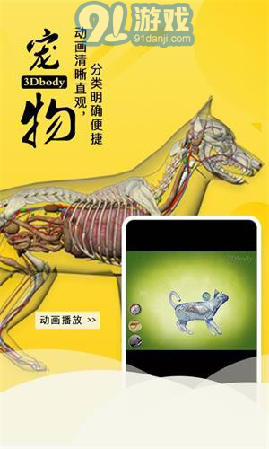 3dbody寵物1