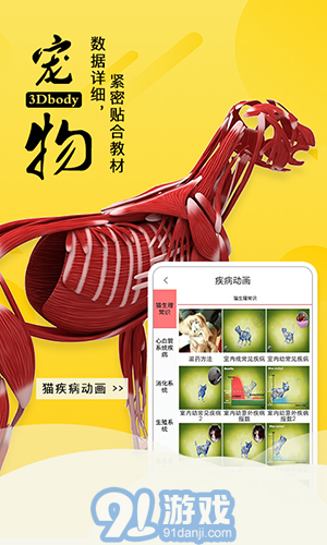 3dbody寵物2