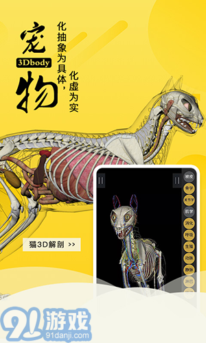 3dbody寵物3