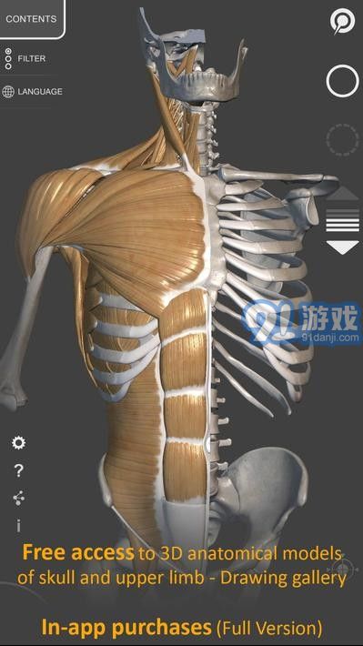 人体解剖图3d软件下载，人体解剖图3d软件下载安装-第4张图片-雷盾自助建站|ai文本生成,aigc软件站公司网站源码-天霸装饰
