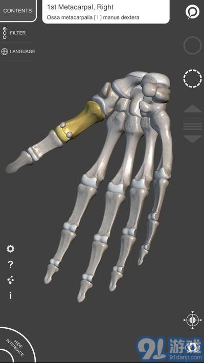 藝術(shù)家之3d解剖圖2