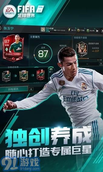 FIFA足球世界國際服2
