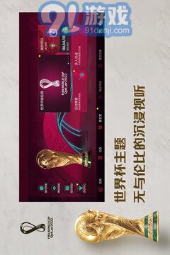 FIFA2003中文版2