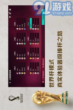 FIFA2003中文版3