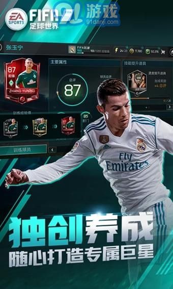 FIFA足球世界國際服2