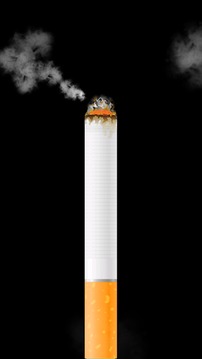 卷煙模擬器4