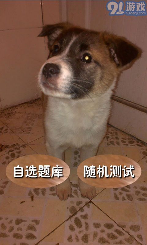 奧數(shù)題及答案1