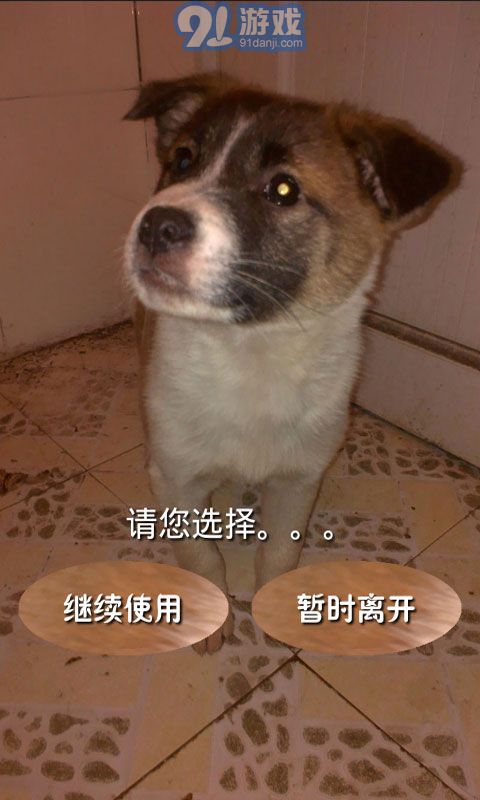 奧數(shù)題及答案5