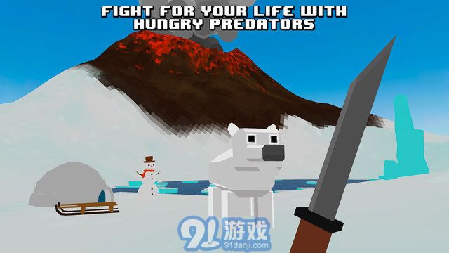 火山島生存3
