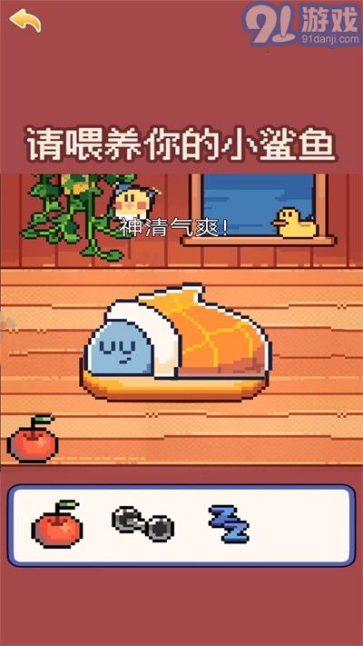 奇怪的動(dòng)物2
