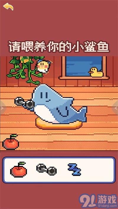 奇怪的動(dòng)物3