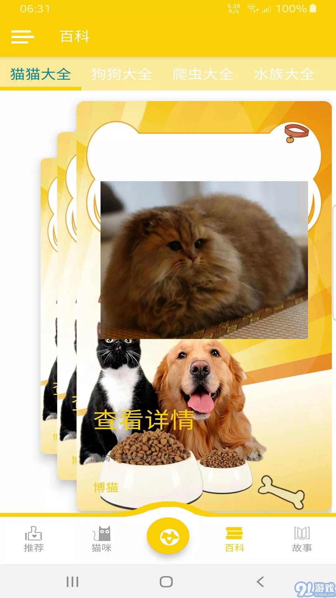 博貓1