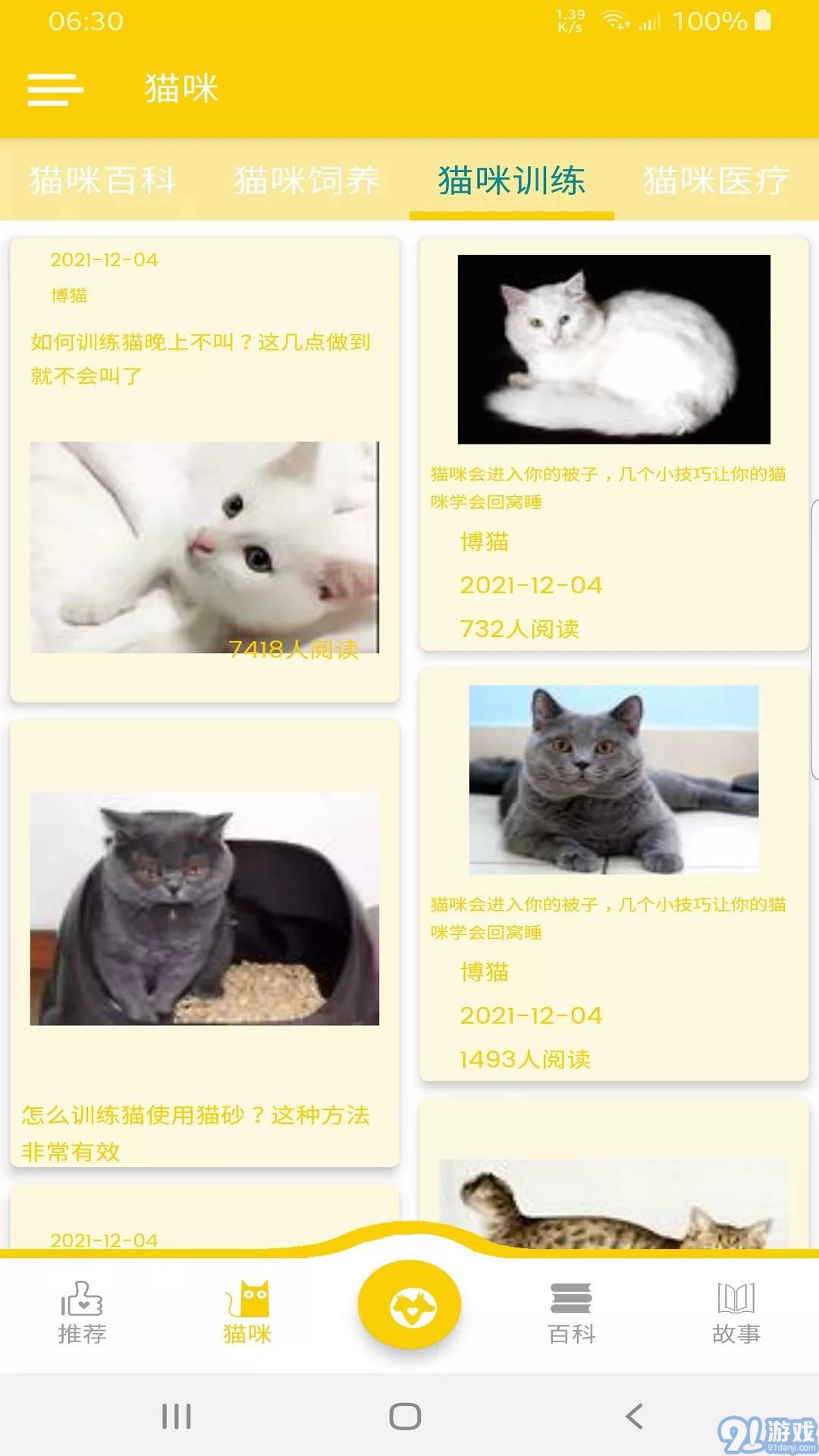 博貓2