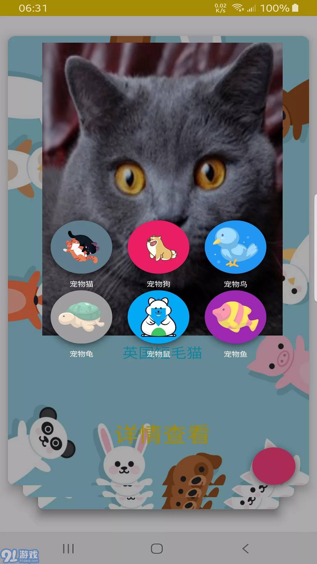 博貓3