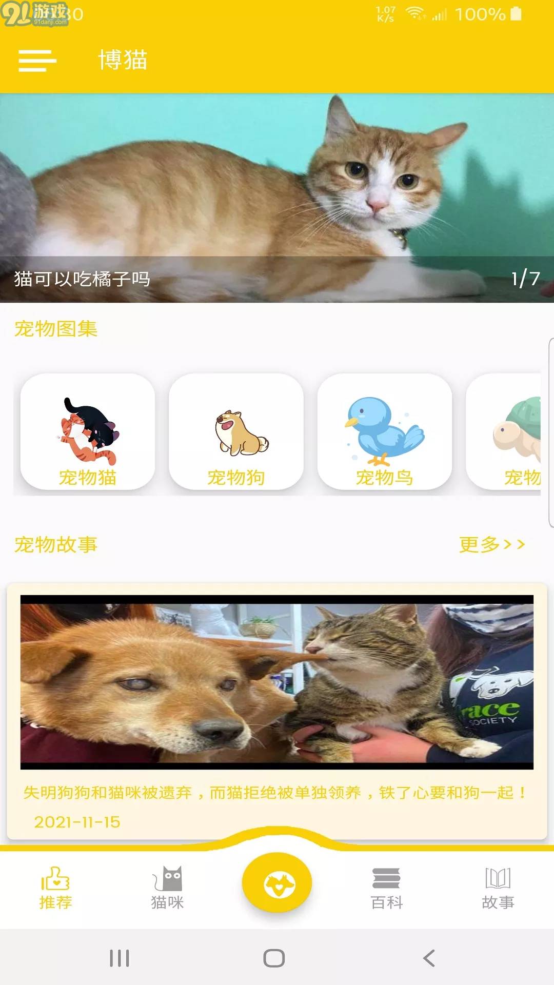 博貓4