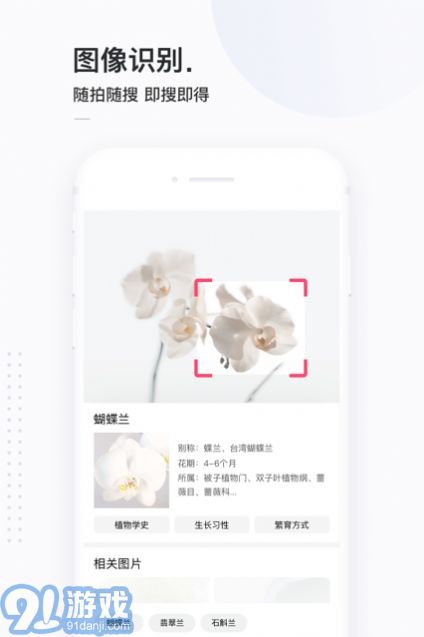 13813搜索2