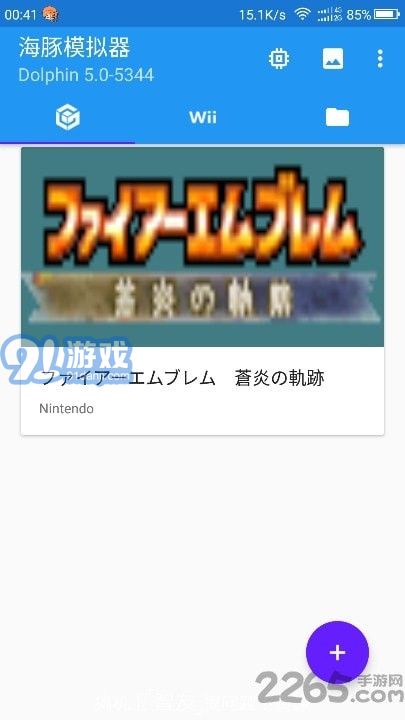 dolphin模擬器1