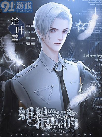姐姐很忙的橙光2