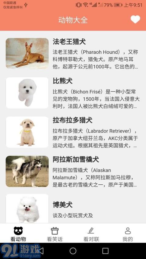 天天愛看圖1