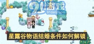 星露谷物语结婚条件怎么解锁-星露谷物语如何解锁结婚条件