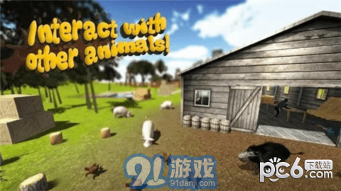 小豬模擬器22