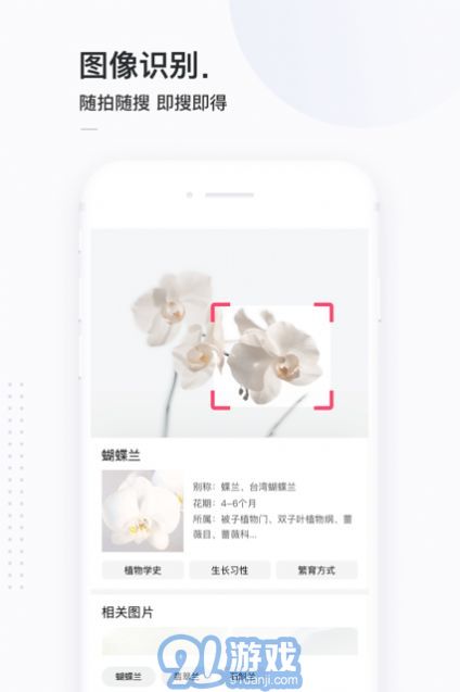 13813搜索2