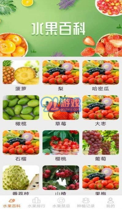 果果多點(diǎn)1