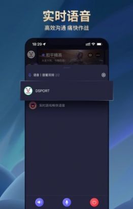 dsport電競(jìng)1