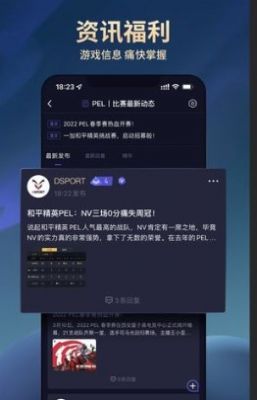 dsport電競(jìng)2