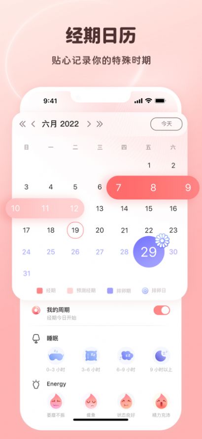 姨媽小日歷安卓版3