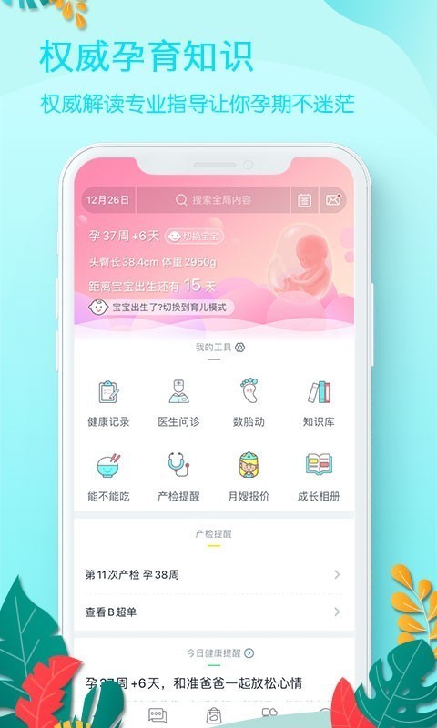好孕媽3