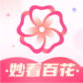 shell32.dll 