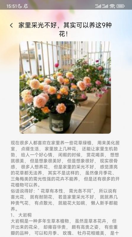 妙看百花2