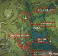 原神柯莱突破材料在哪收集-原神柯莱突破材料收集地点攻略