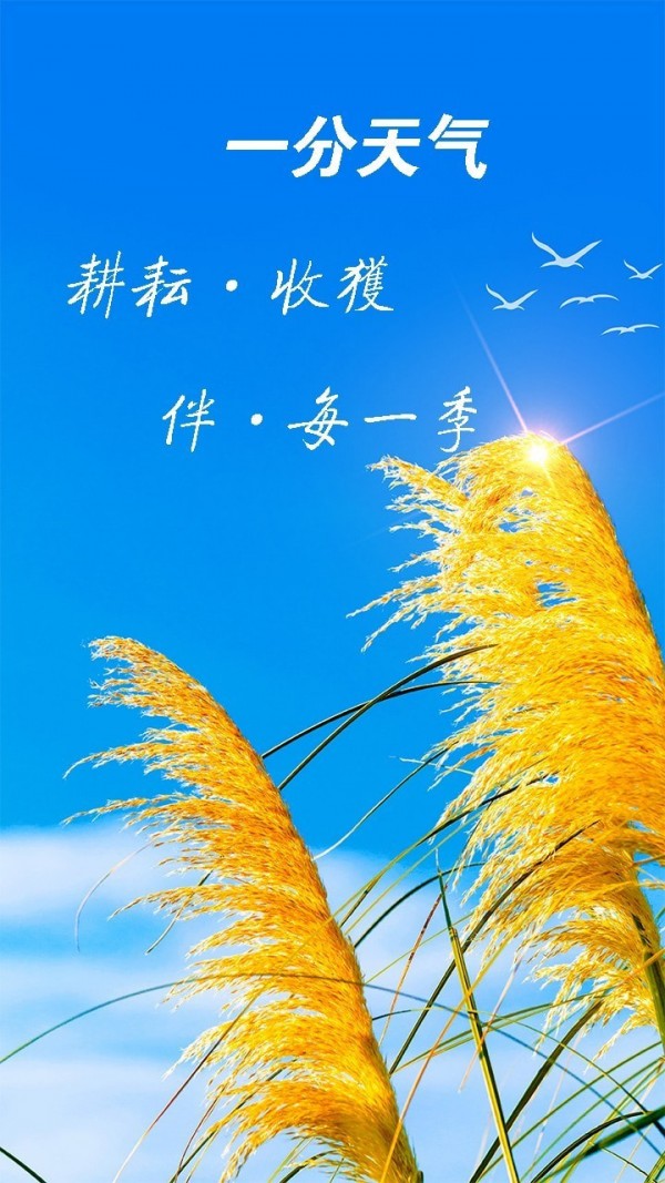 天氣預(yù)報神器3