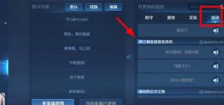 妲己语音包在哪里找？妲己皮肤语音下载入口指南