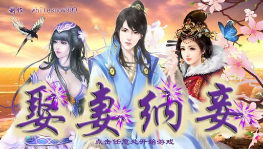 娶妻納妾2