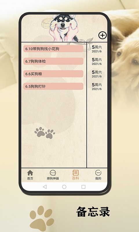 小狗翻譯官4