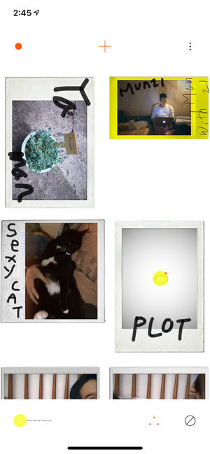 PLOT1
