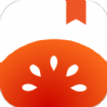 shell32.dll 