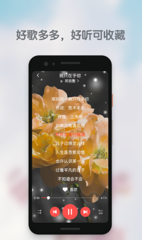 好歌多多1