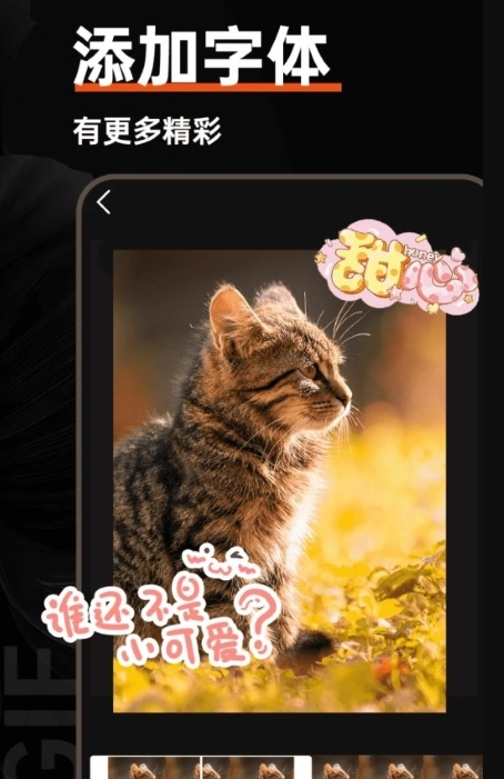 gif動圖社區(qū)3
