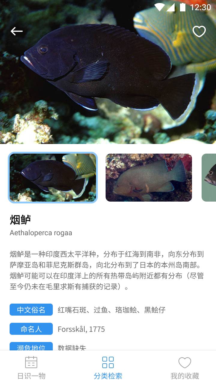 奇妙海洋百科知識2