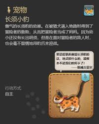 探索最终幻想14水晶世界：独特炸药仔宠物获取指南