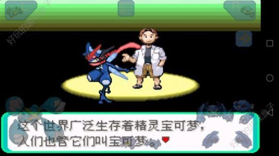 口袋妖怪劊曜之影2
