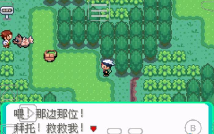 口袋妖怪心魂之羽2
