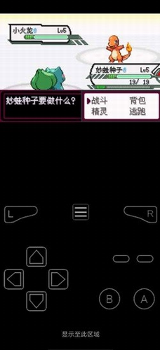 口袋妖怪最后的火紅2