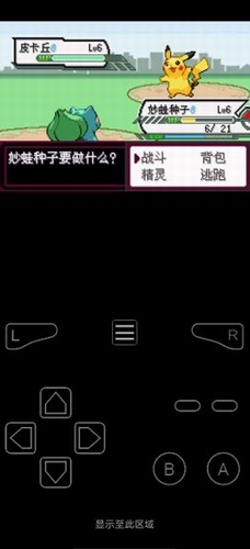 口袋妖怪最后的火紅3