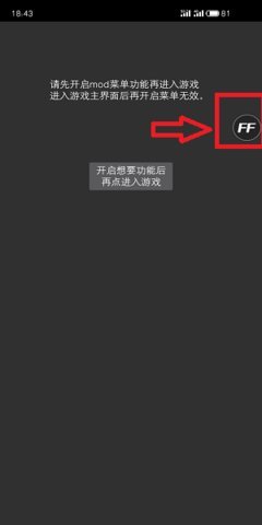 Ff修改器1