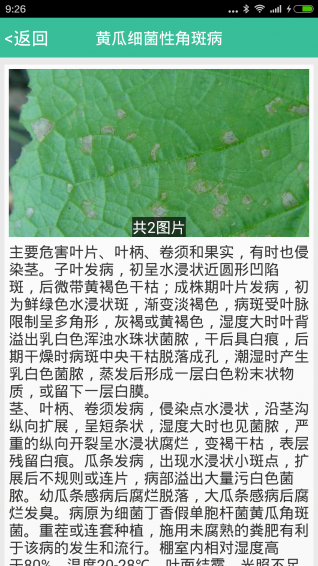 種好地3